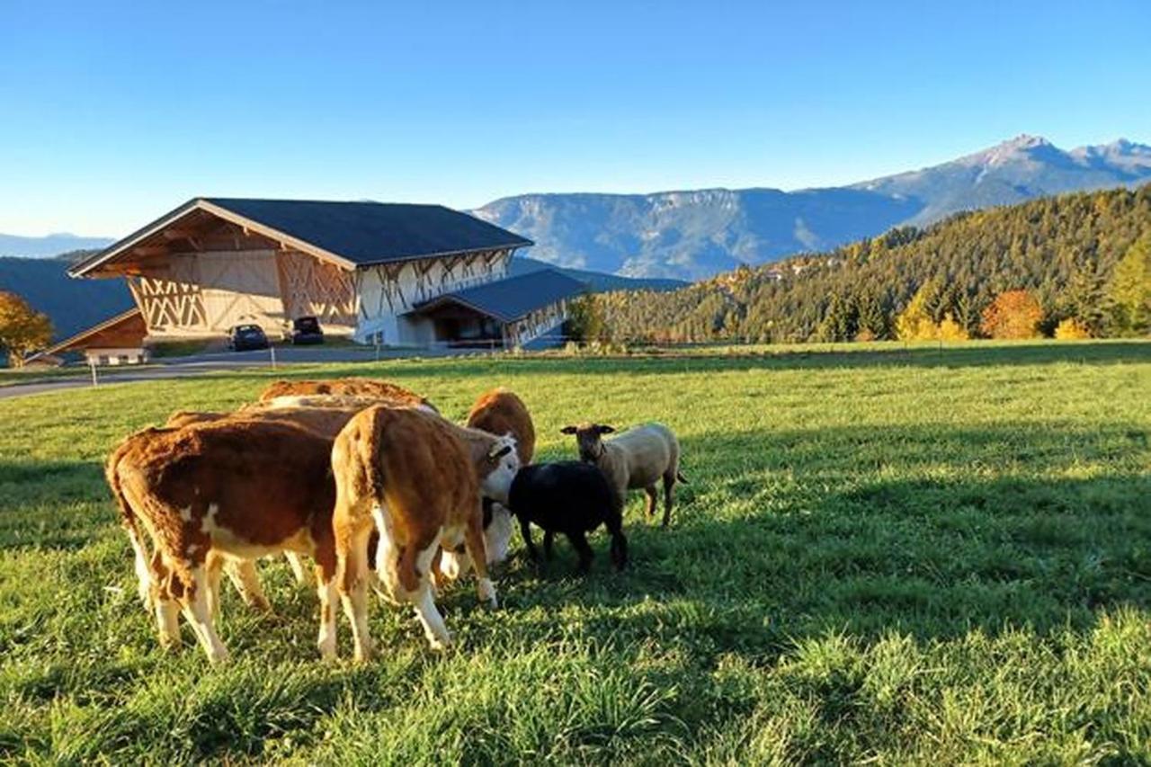 Haughof Apartement Laerchenweide Verano Kültér fotó